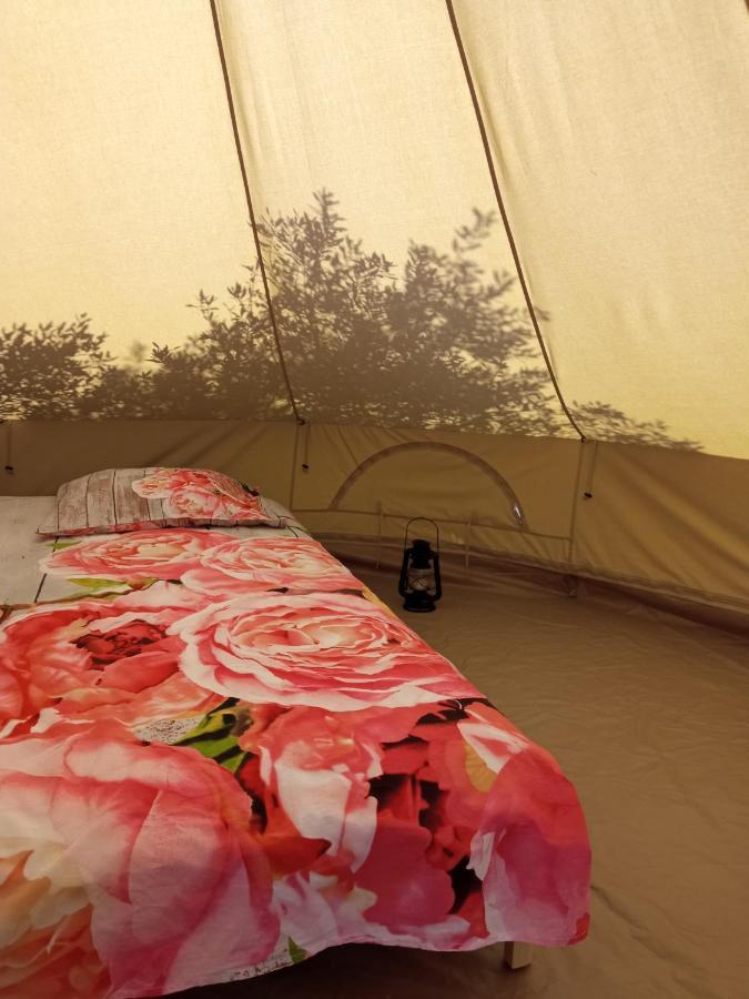 Mini Kamp Perla Hotell Prvić Luka Exteriör bild